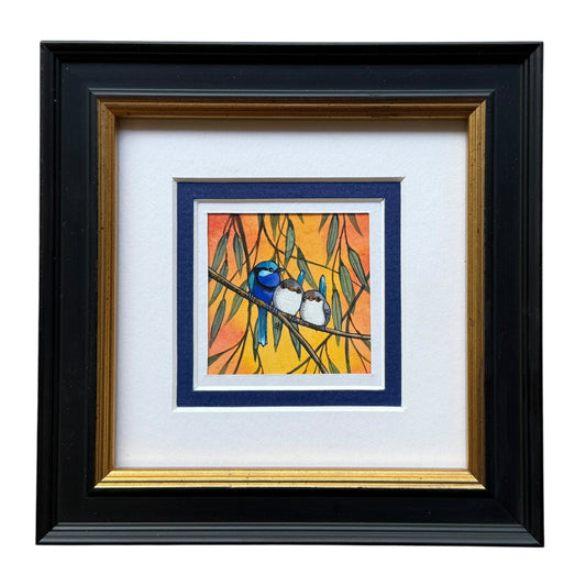 Splendid Fairy Wrens Trio - Spring II 2025