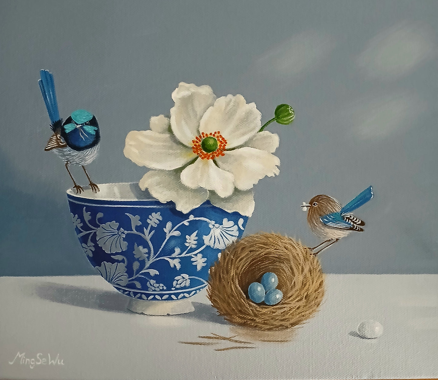Bird Nest & Wrens