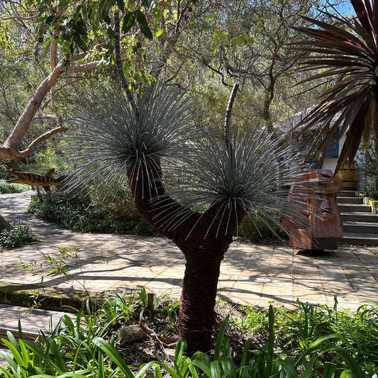 Grass Tree V