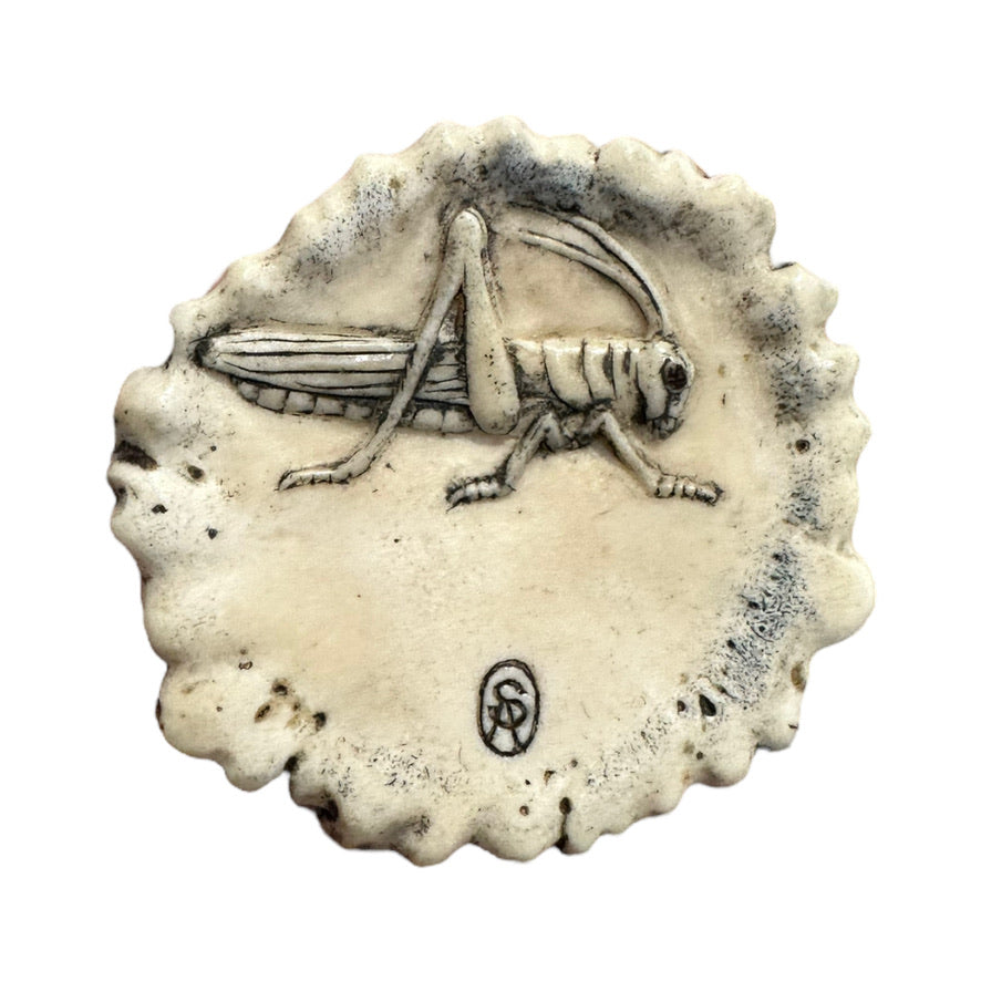 Quoll - Exhibition Nov 2023