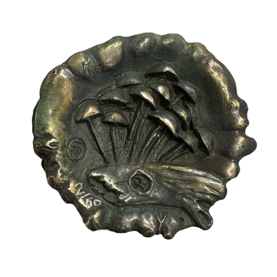 Smooth Rhino Beetle - Exhibition Nov 2023