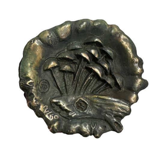 Smooth Rhino Beetle - Exhibition Nov 2023