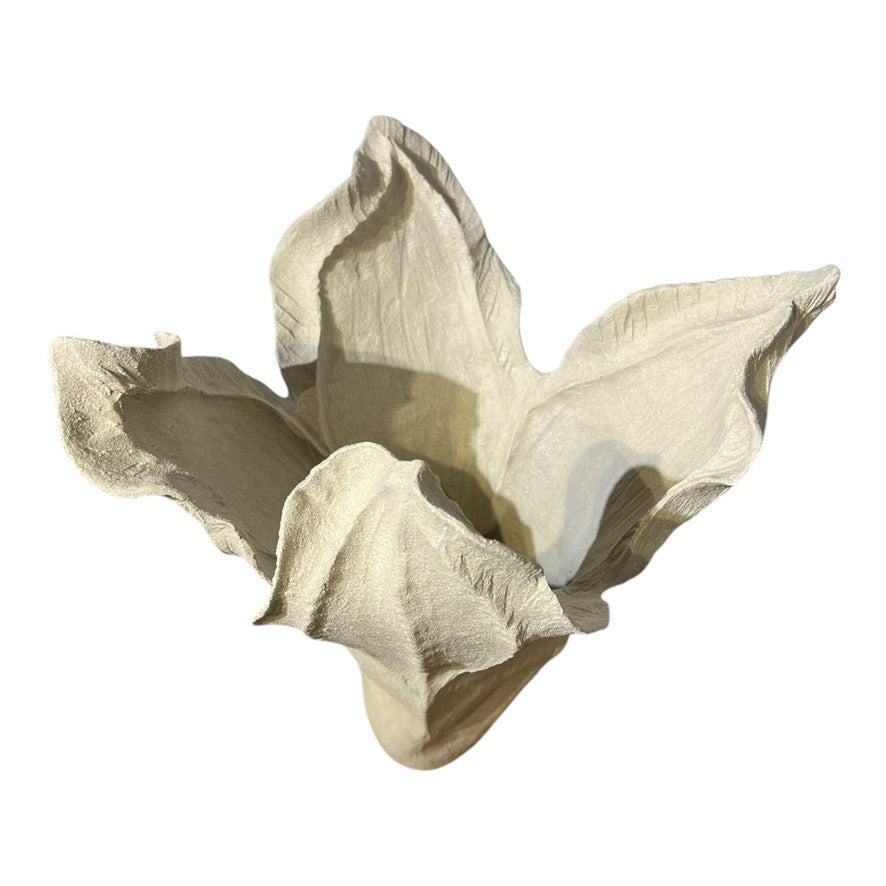 Sand Large Vase - Seed Collection