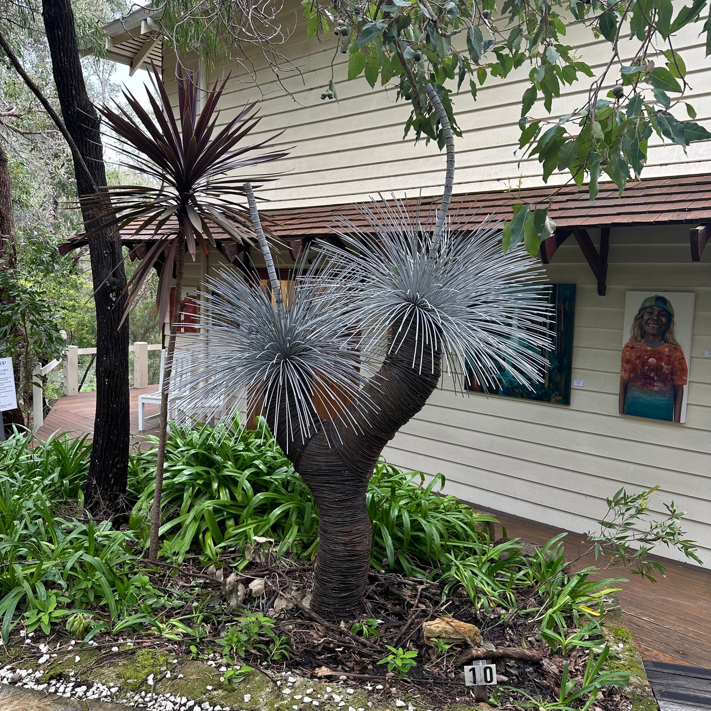 Grass Tree XI