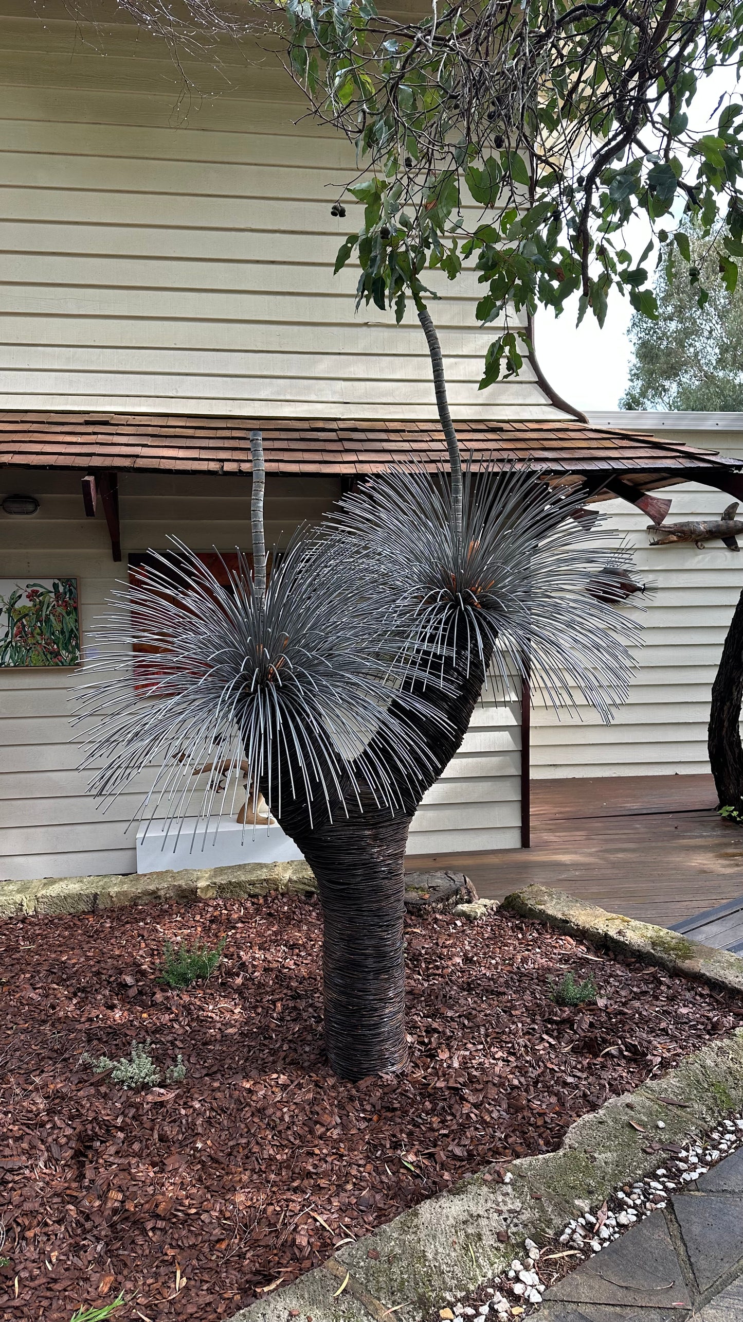 Grass Tree XVI