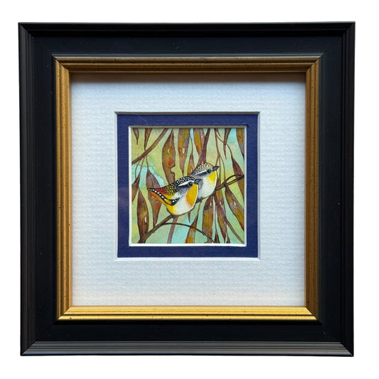 Spotted Pardalote Duo - Navy 2026