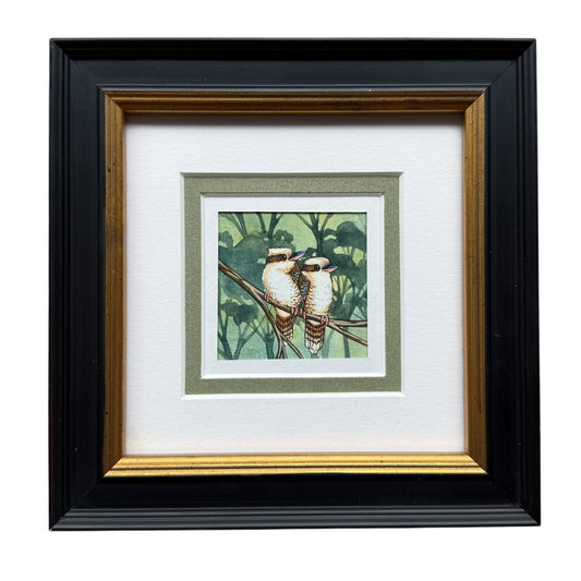 Kookaburra II - Spring II 2025