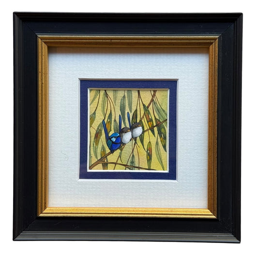 Splendid Fairy Wren Trio - Navy Winter 2026