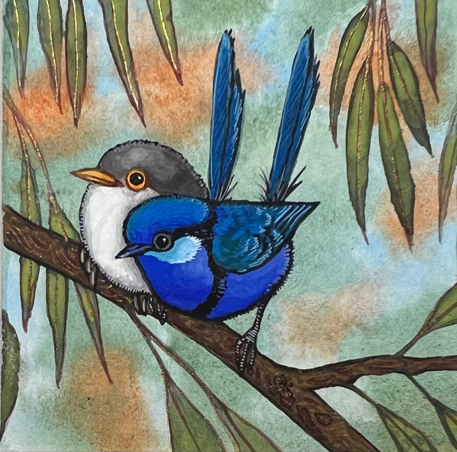 Two Splendid Fairy Wrens, Cobalt Blue