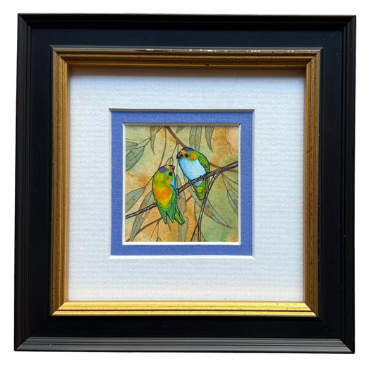 Purple Crowned Lorikeet duo - Light Blue 2026