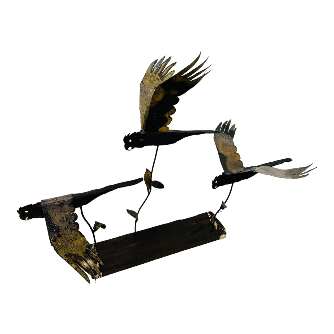 Mammoth Black Cockatoo Trio - MRROS 2023