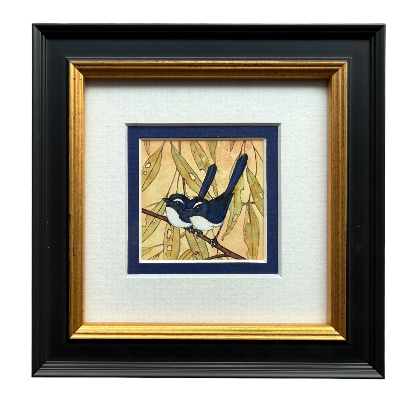 Willy Wag Tail Duo - Navy, Spring 2026