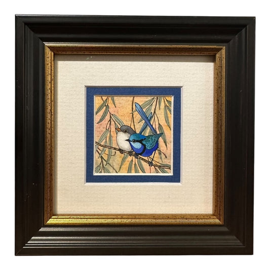 Splendid Fairy Wren Pair - Spring 2025