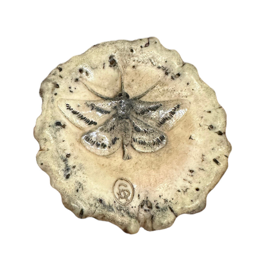 Crinia Frog - Exhibition Nov 2023