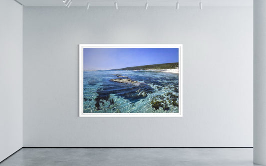 Light in the Shallows