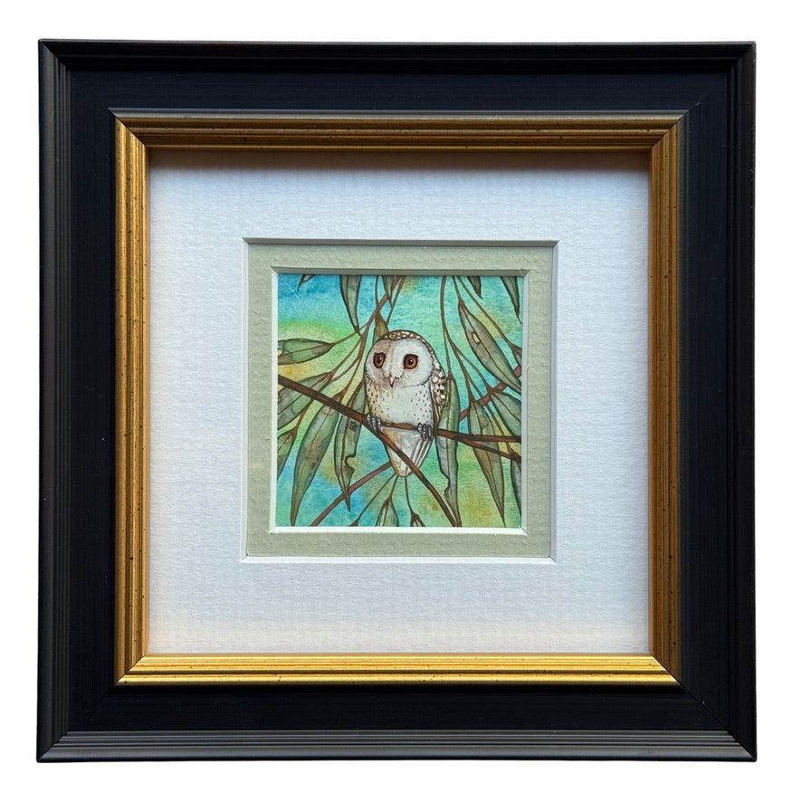 Barn Owl - Soft Green Winter 2026
