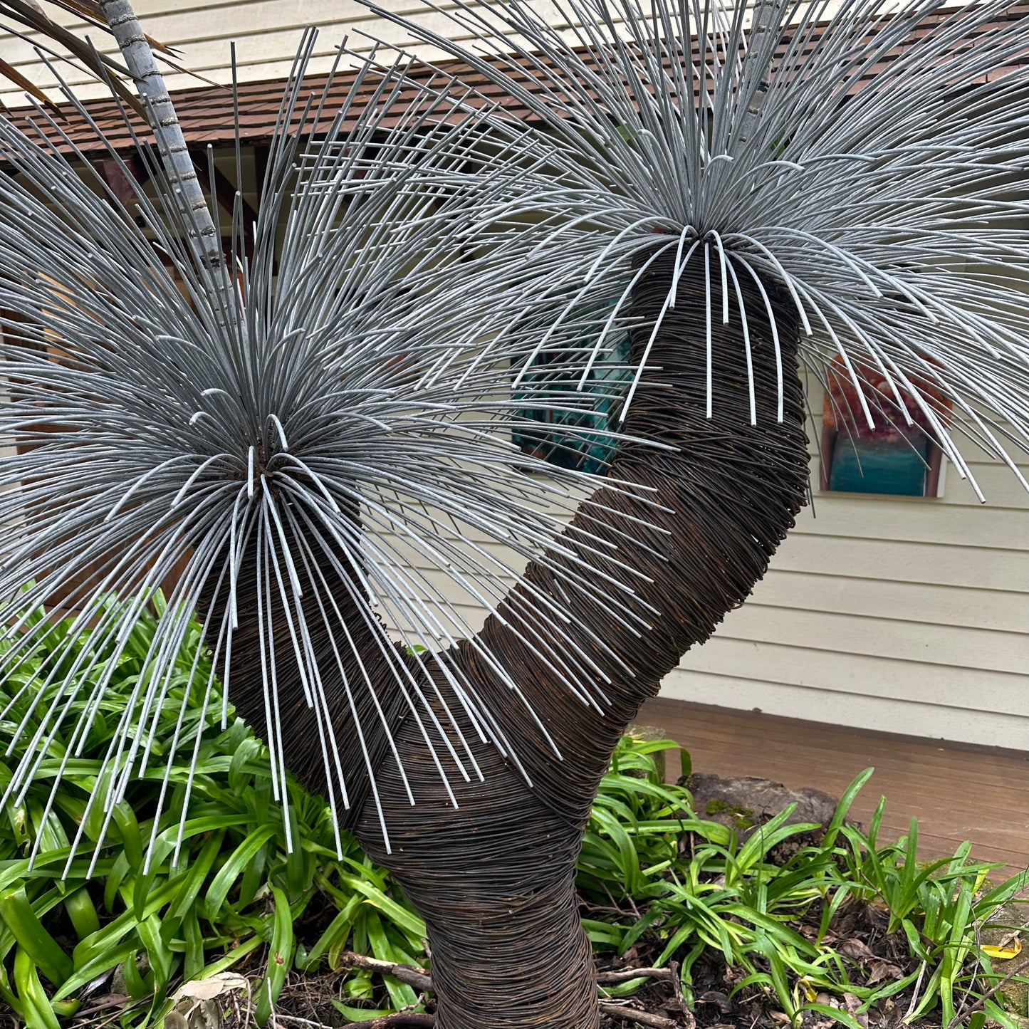 Grass Tree XI
