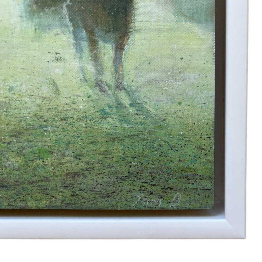 Fresh Morning, Witchcliffe