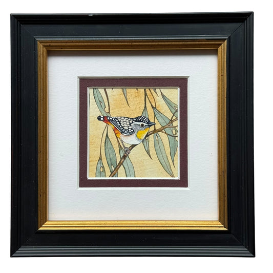 Spotted Pardalote - Spring II 2025