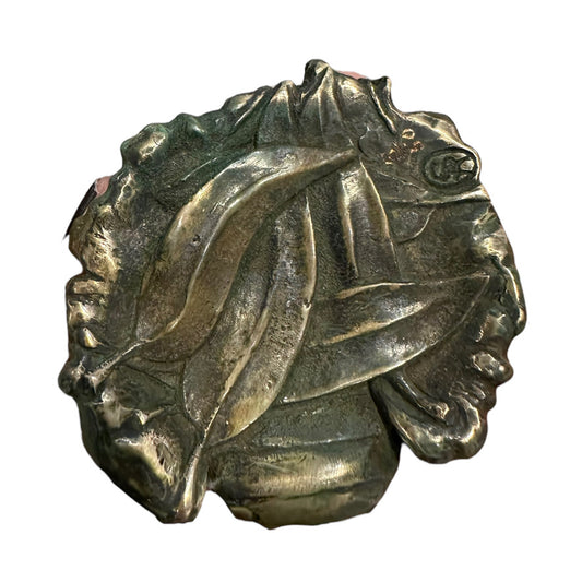 Ribbed Rhinoceros Beetle - Exhibition Nov 2023