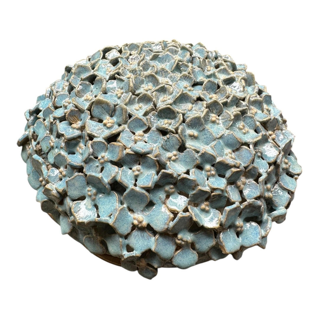 Seed Pod Hanging #1 - Hydrangea