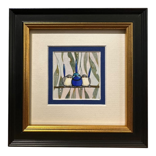 Splendid Fairy Wren Trio White Background - Spring 2025