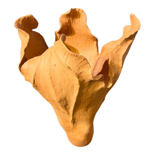 Terracotta Large Vase - Seed Collection