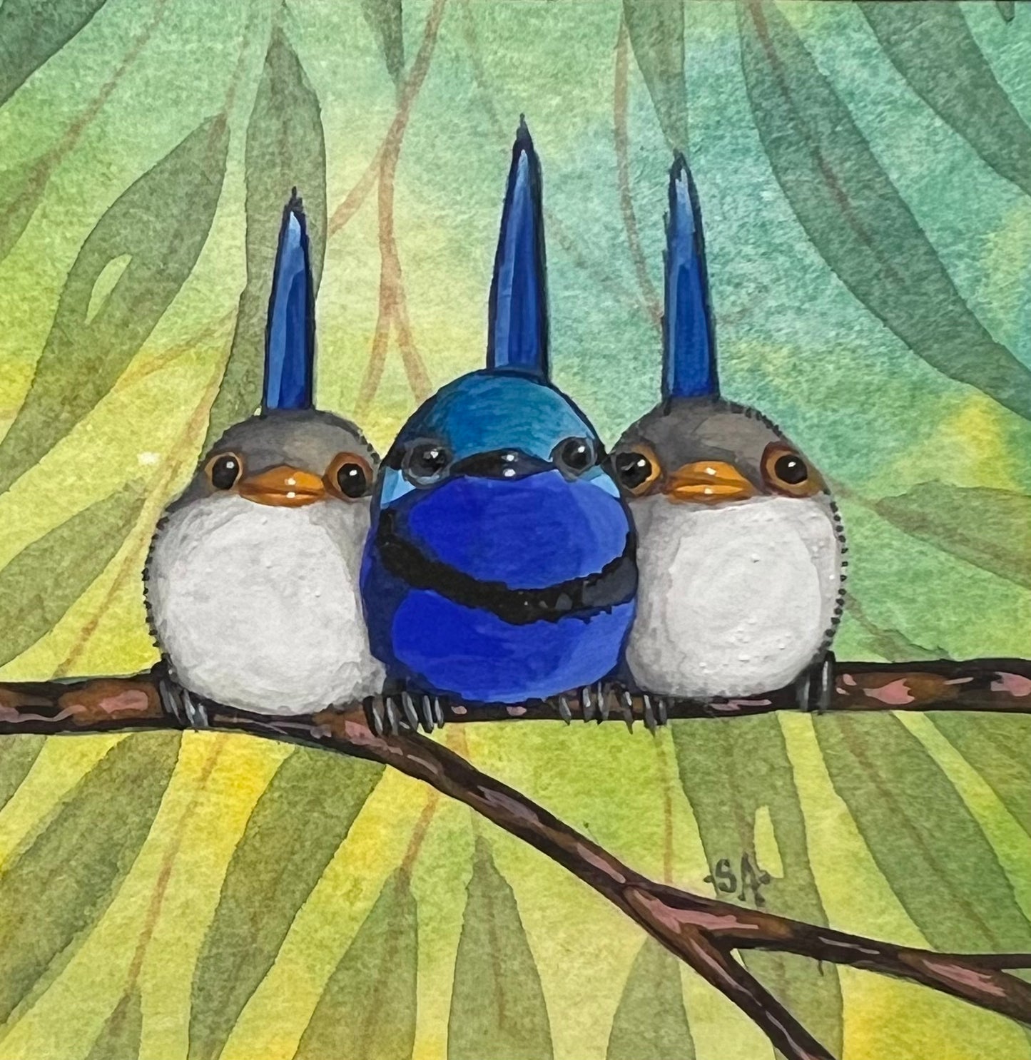 Three Splendid Fairy Wrens, Navy
