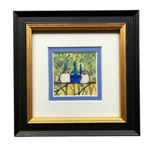Splendid Fairy Wren Trio - Medium Blue 2026
