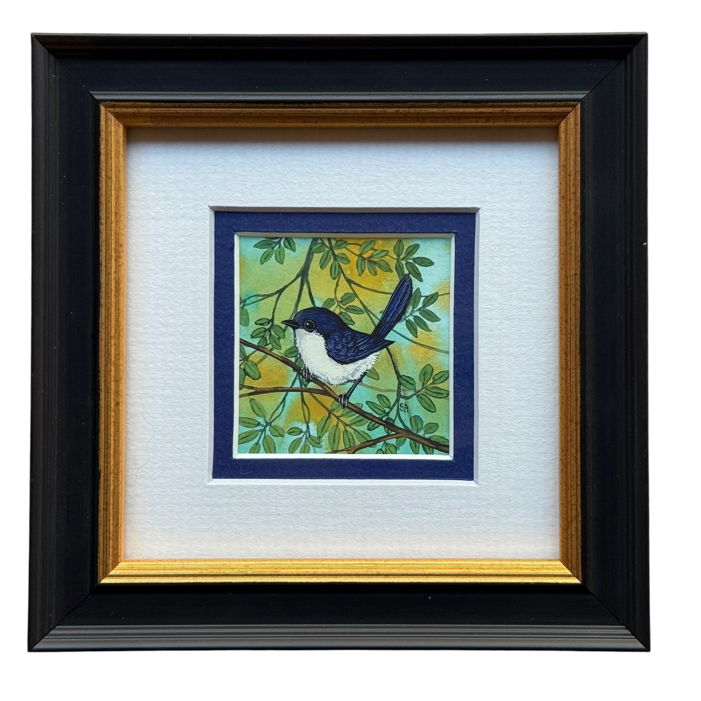 Willy Wagtail - Navy Winter 2026