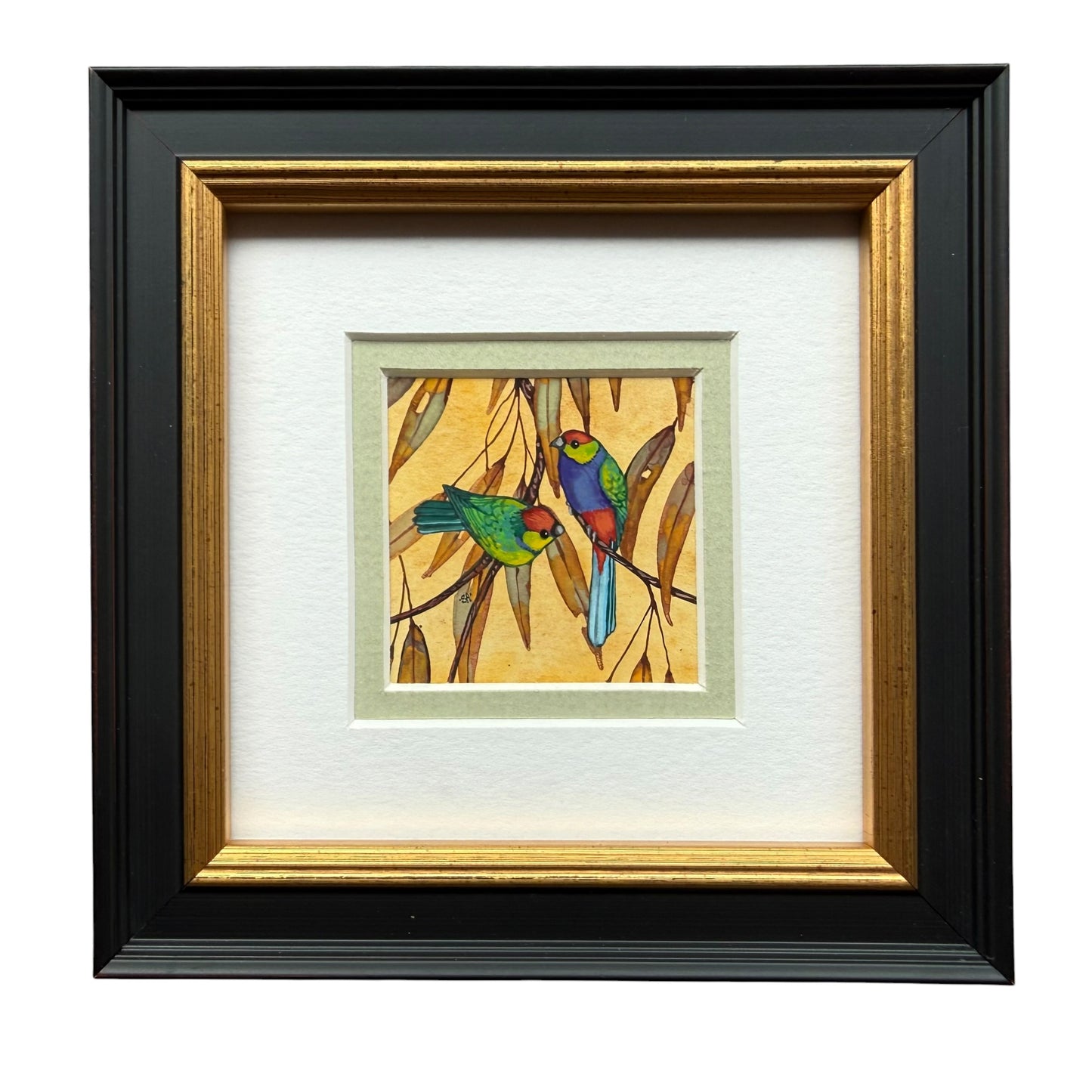 Red Capped Parrot - Soft Green 2026