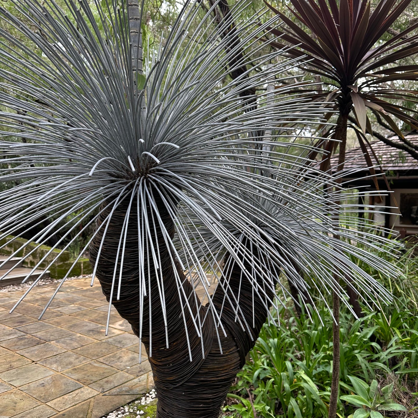 Grass Tree XI