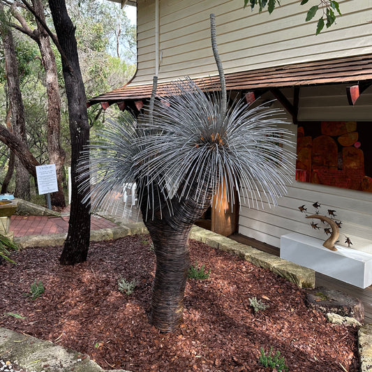 Grass Tree XVI