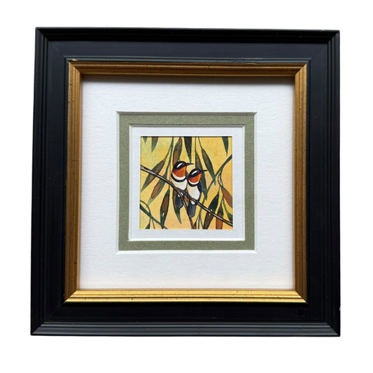 Western Spinebill - Spring II 2025