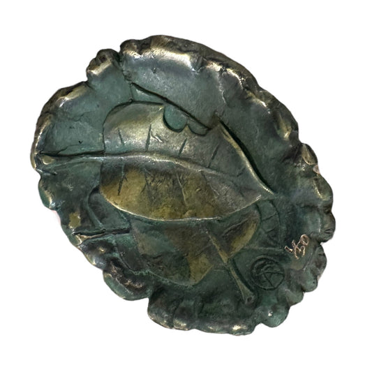 Cicada - Exhibition Nov 2023