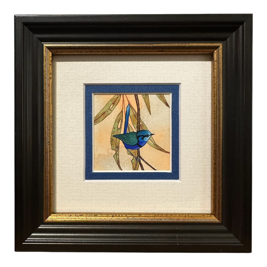 Splendid Fairy Wren Looking Right - Spring 2025