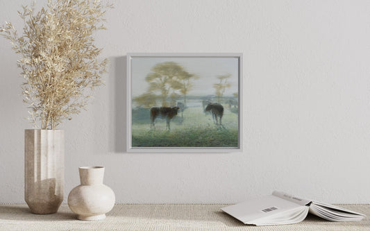 Fresh Morning, Witchcliffe