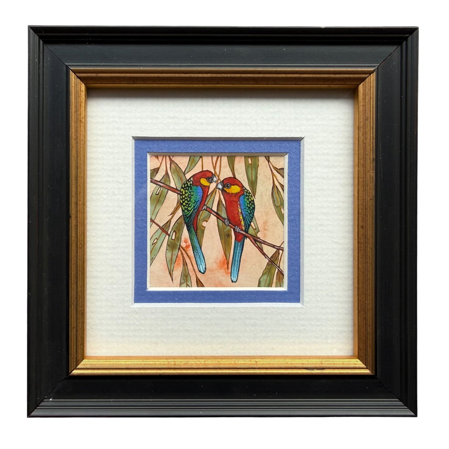 Western Rosella Duo - Blue, Spring 2026