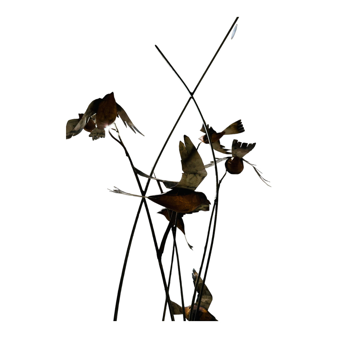 Birds in Collaboration - MRROS 2023