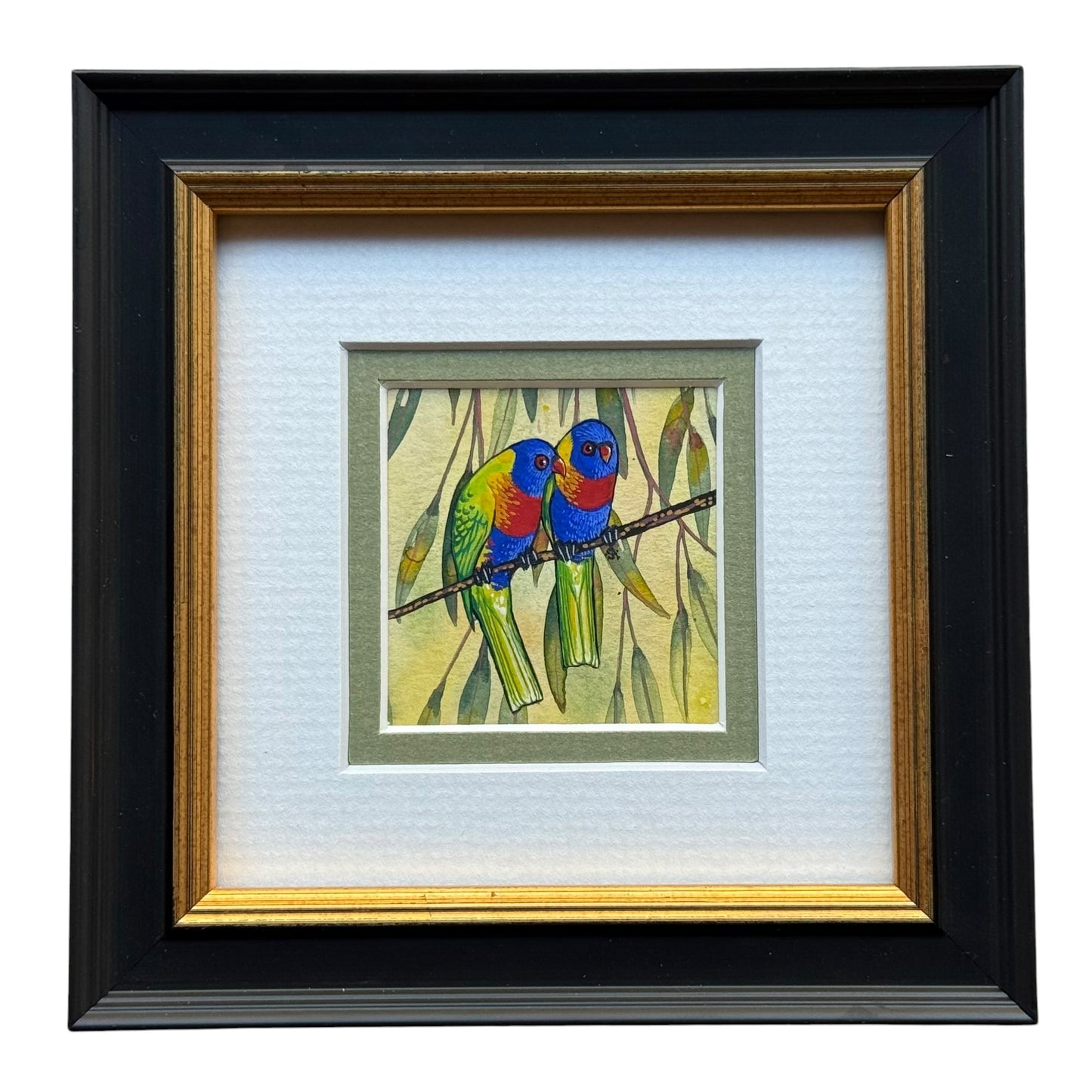 Rainbow Lorikeet - Olive 2026