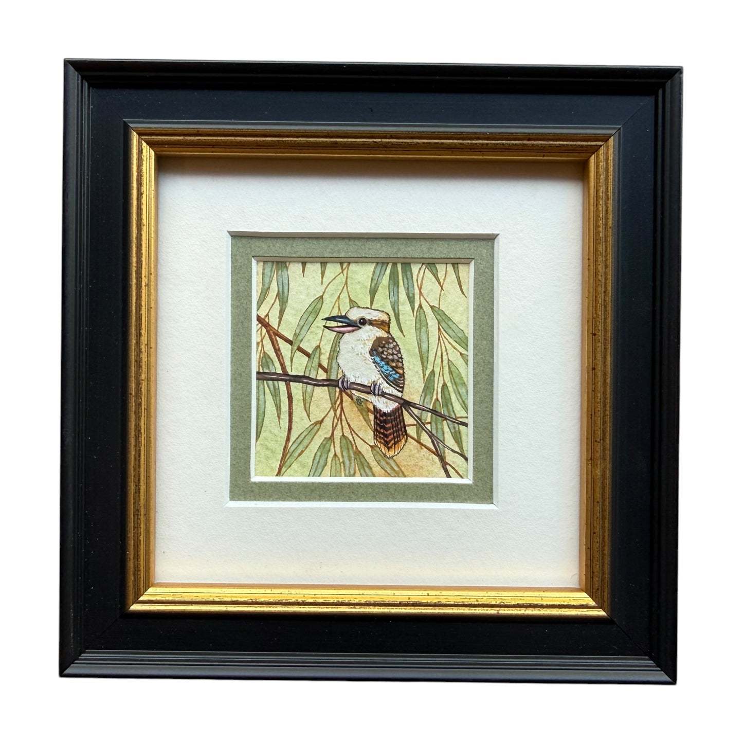 Kookaburra - Olive Green 2026