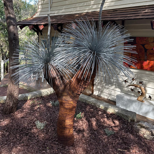 Grass Tree XV