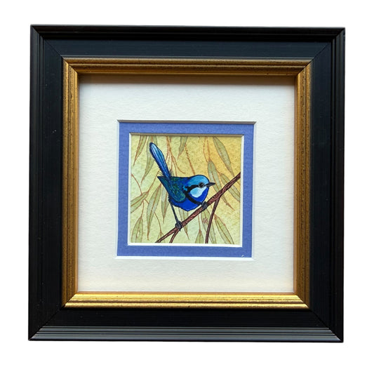 Splendid Fairy Wren II - Light Blue 2026