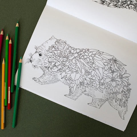 Bushwalk - Wildlife Colouring Book