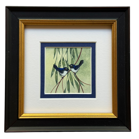 Willy Wag Tail Duo 2026