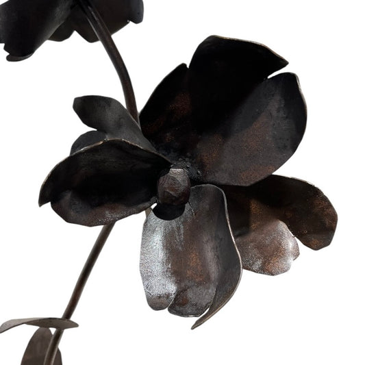 Double Bloom - MRROS 2024