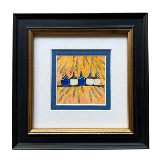 Splendid Fairy Wrens 5 - Spring II 2025