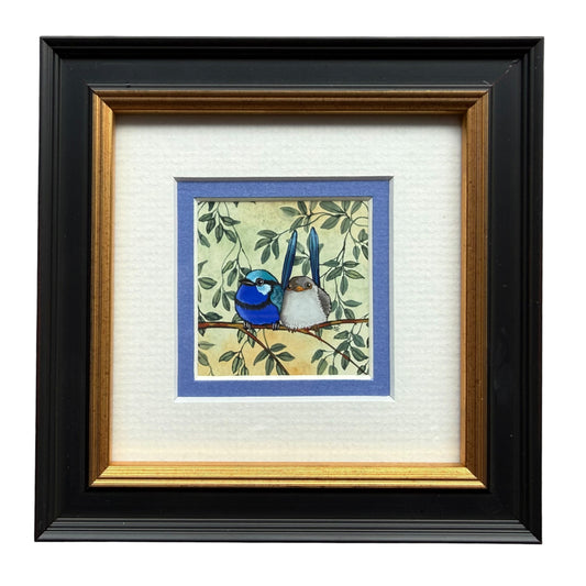 Splendid Fairy Wren Duo - Blue, Spring 2026