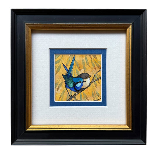 Splendid Fairy Wrens Pair - Spring II 2025