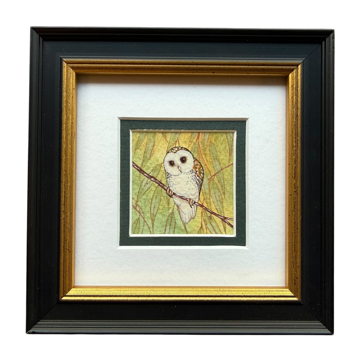 Barn Owl - Forest Green 2026